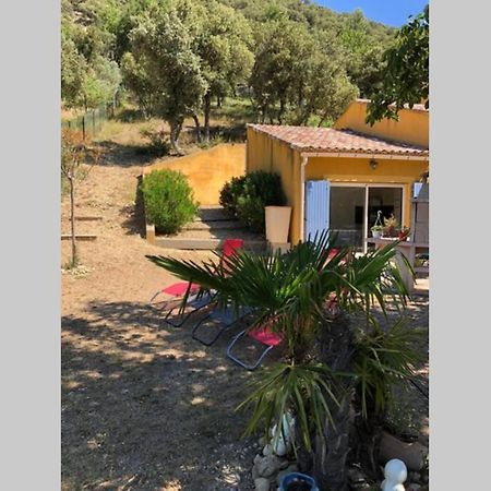 Lou Paradiu Du Verdon 普罗旺斯地区阿莱马尼 外观 照片