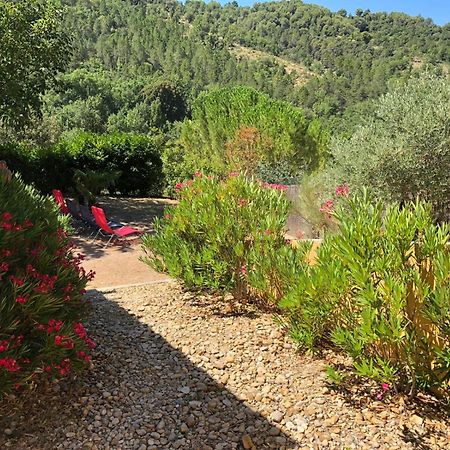 Lou Paradiu Du Verdon 普罗旺斯地区阿莱马尼 外观 照片