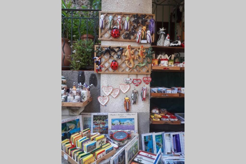 Lou Paradiu Du Verdon 普罗旺斯地区阿莱马尼 外观 照片