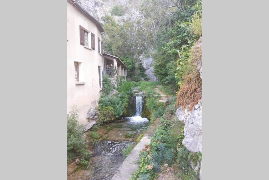 Lou Paradiu Du Verdon 普罗旺斯地区阿莱马尼 外观 照片