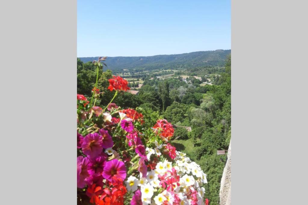 Lou Paradiu Du Verdon 普罗旺斯地区阿莱马尼 外观 照片