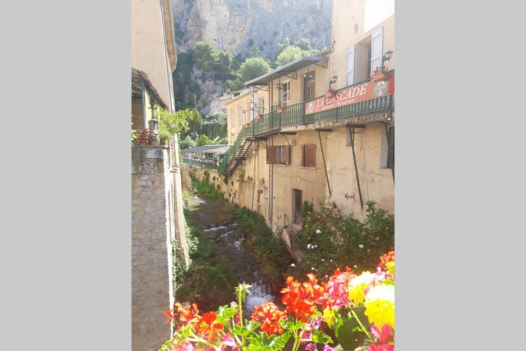 Lou Paradiu Du Verdon 普罗旺斯地区阿莱马尼 外观 照片
